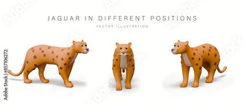 Realistic jaguar in different positions for dynamic design. Wild animal with spotted skin