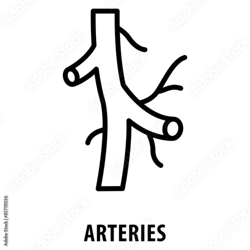 arteries Icon simple and easy to edit for your design elements