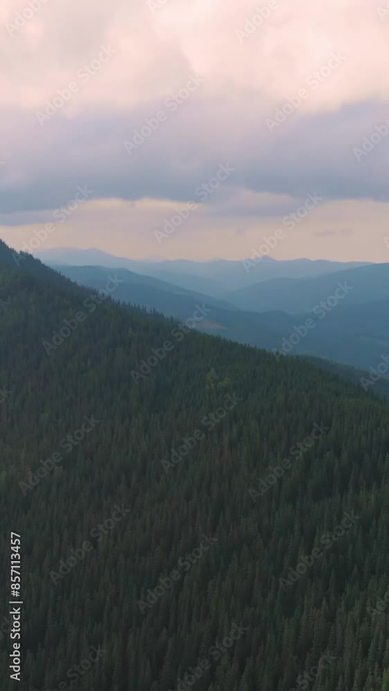 Fantastic view of mountain during summer Fantastic view of mountain during summer