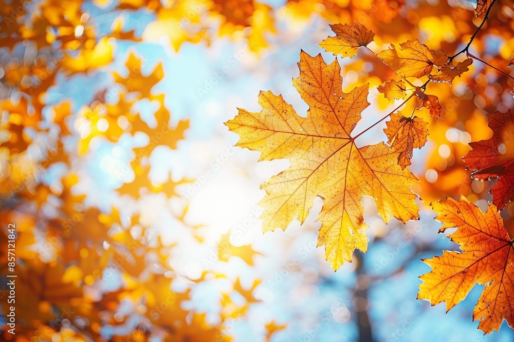 Autumn landscape. Autumn oak leafes, very shallow focus. Autumn landscape. Autumn oak leafes, very shallow focus.