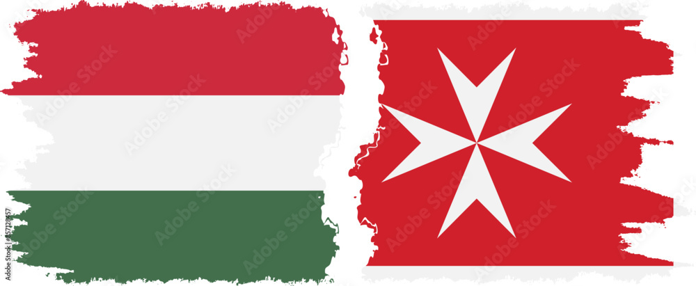 Malta and Hungary grunge flags connection vector Malta and Hungary grunge flags connection vector