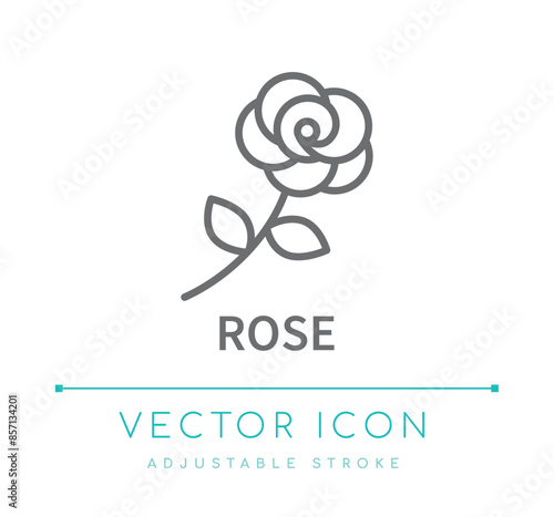 Rose Line Icon