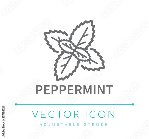 Peppermint Line Icon