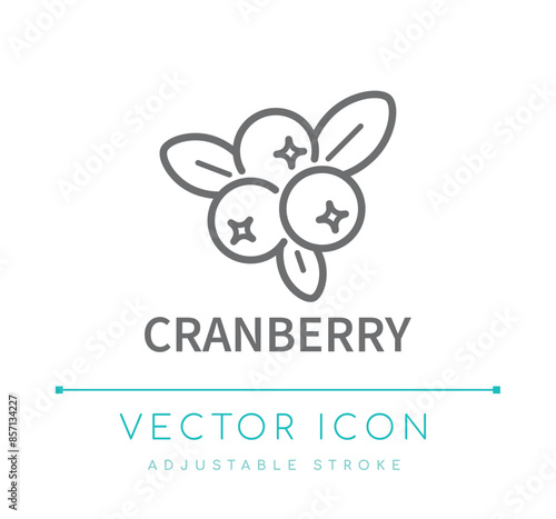 Cranberry Line Icon