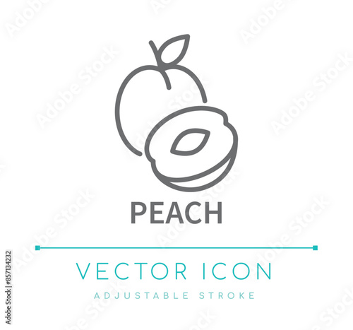 Peach Line Icon