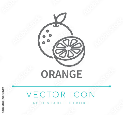 Orange Line Icon