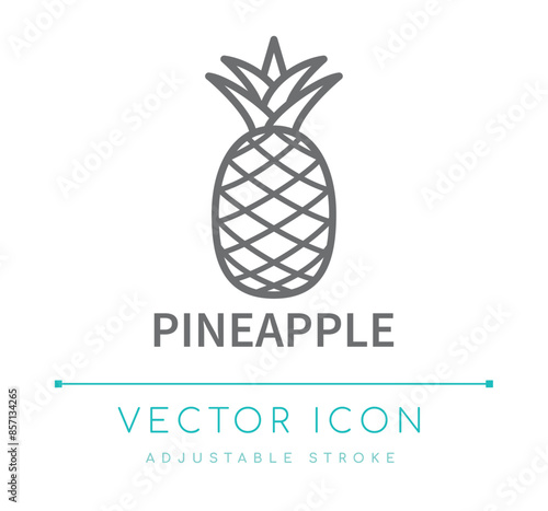 Pineapple Line Icon