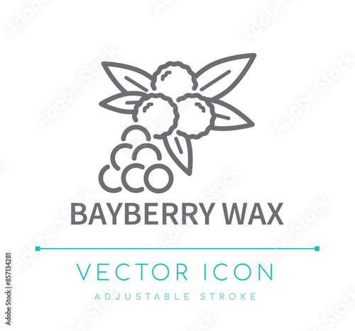 Bayberry Wax Line Icon photo
