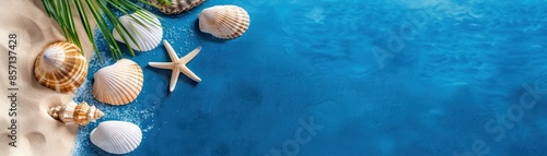 Seashells and a starfish on a blue background with sand. photo