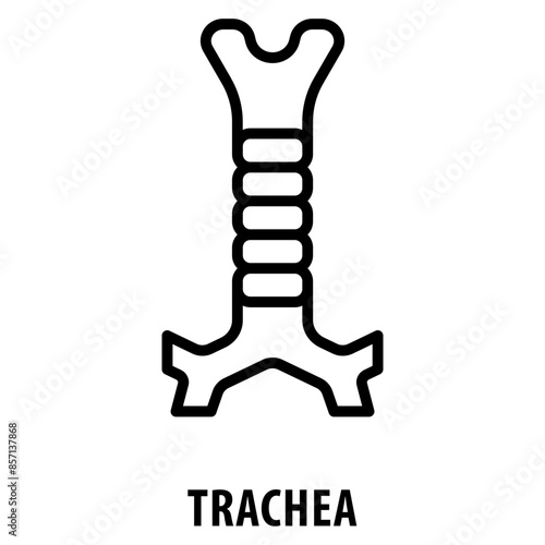 trachea Icon simple and easy to edit for your design elements