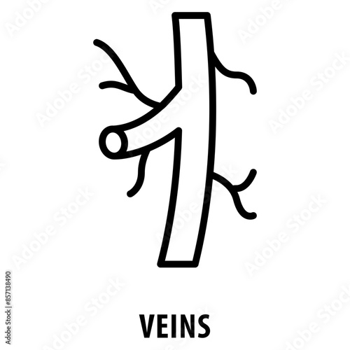 veins Icon simple and easy to edit for your design elements