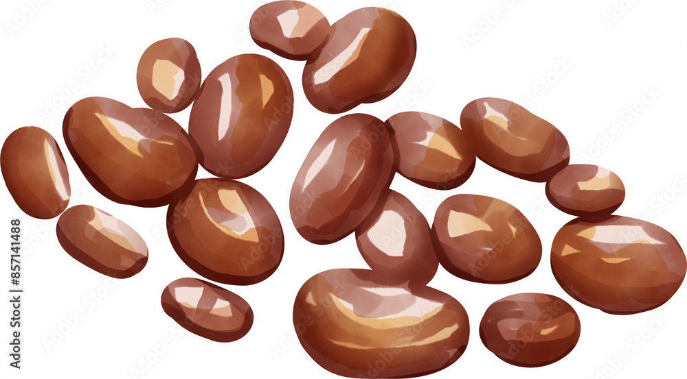 cocoa watercolor elements cocoa watercolor elements
