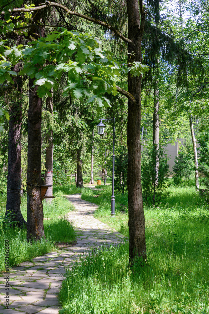 Fototapeta premium A stone path for walking in the park between trees and lanterns.