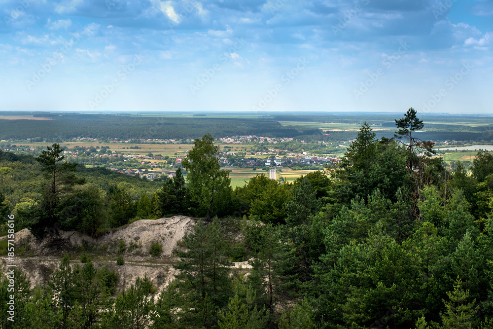 Fototapeta premium beautiful views of Kremeneс region in the distance, the edge of the forest on sandy soils
