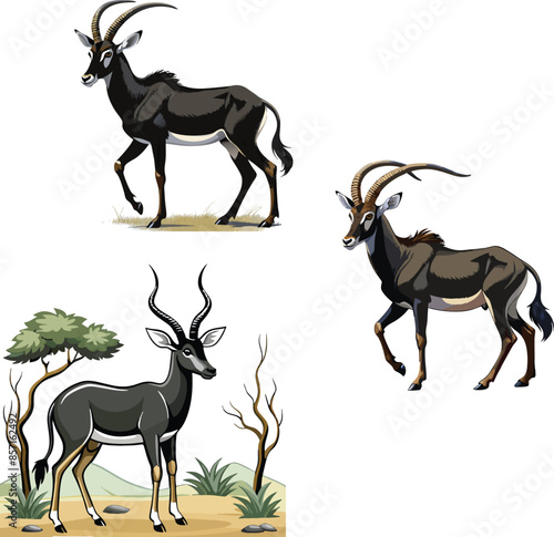 Large-horned black antelope-