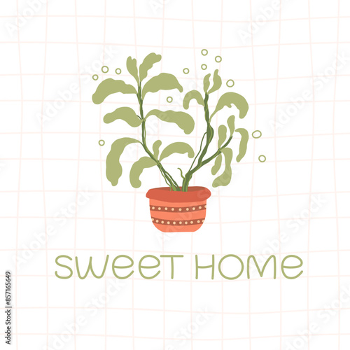 Potted plant vector illustration. Sweet home text. Print for home plants lovers.