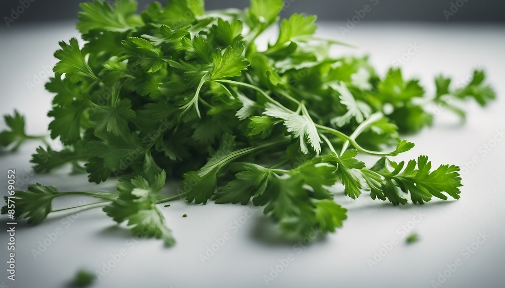 Parsley leaves arranged neatly against a clean, crisp white backdrop, showcasing their vibrant green hue as they stand out from the stark simplicity of the background. Parsley leaves arranged neatly against a clean, crisp white backdrop, showcasing their vibrant green hue as they stand out from the stark simplicity of the background.