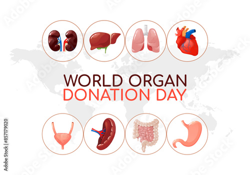World Organ Donation Day template with internal organs