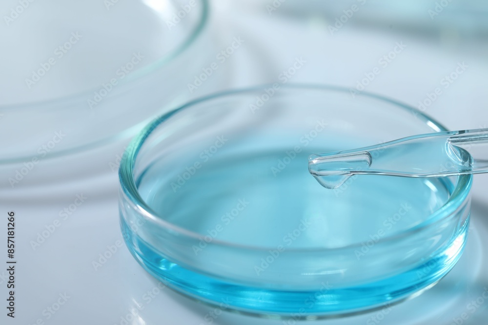 Dripping liquid from pipette into petri dish at white table, closeup Dripping liquid from pipette into petri dish at white table, closeup