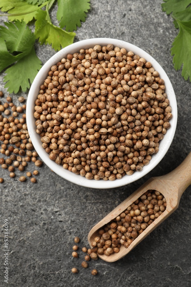 Dried coriander seeds with green leaves in bowl and scoop on gray textured table, flat lay Dried coriander seeds with green leaves in bowl and scoop on gray textured table, flat lay
