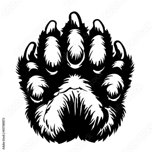 Bear Back Paw