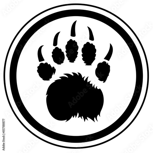 Bear Back Paw