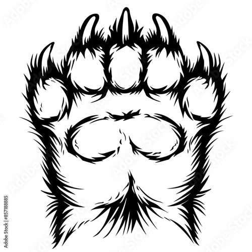 Bear Back Paw