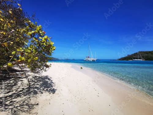 Seul au monde aux Tobago Cays