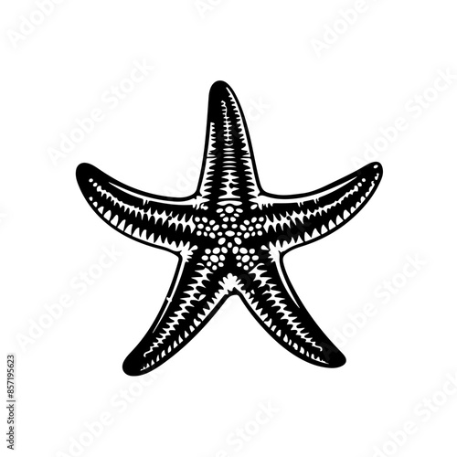 Starfish photo