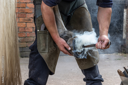 Tableau sur toile Close up of a farrier at work shoeing a horse