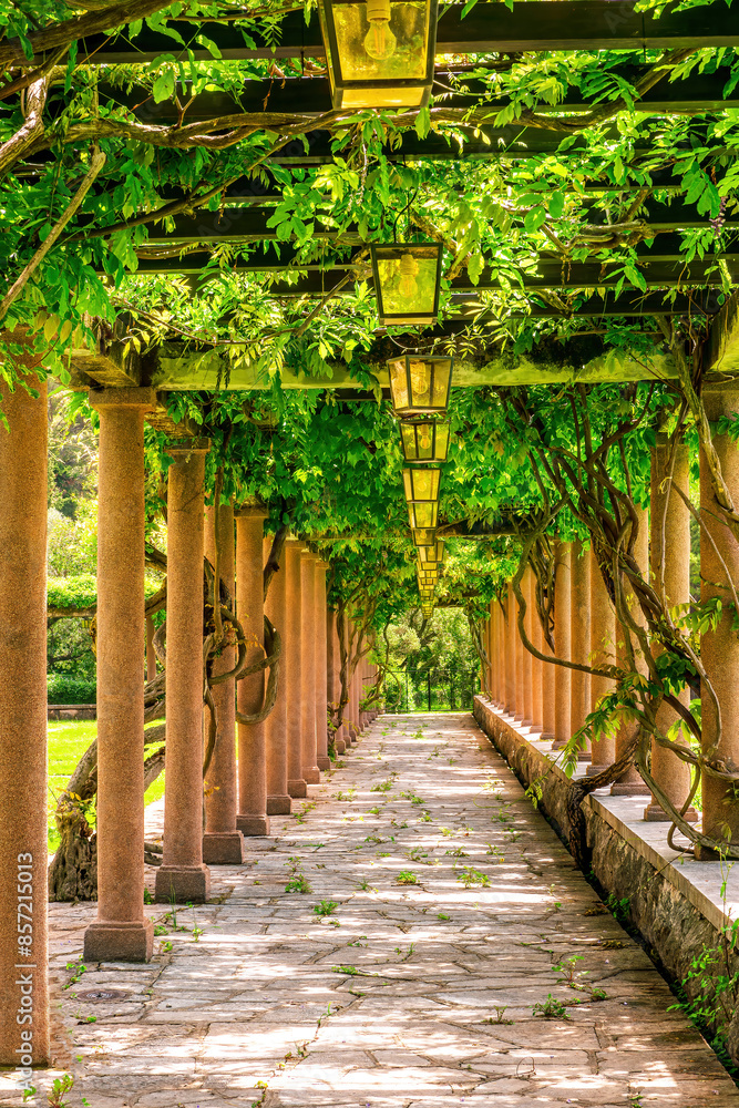 beautiful green gallery of a outdoor park with nice columns and botanic plant decorations of climbing grape vine with stone pavement and leading lines beautiful green gallery of a outdoor park with nice columns and botanic plant decorations of climbing grape vine with stone pavement and leading lines