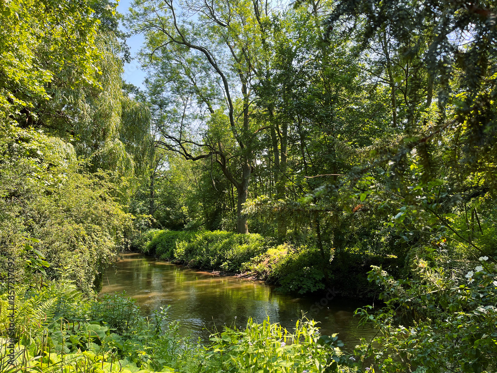 idyllic place, river landscape, walk in nature, river and trees, beautiful nature, tree landscape, beauty of trees, sunny day idyllic place, river landscape, walk in nature, river and trees, beautiful nature, tree landscape, beauty of trees, sunny day