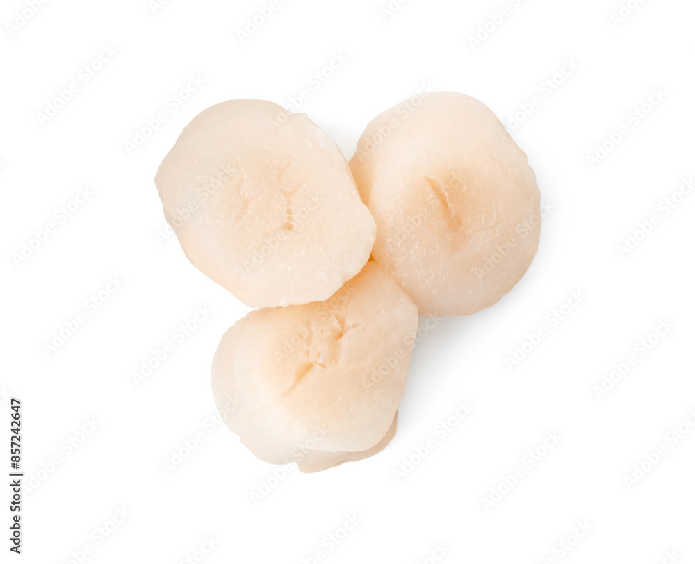 Fresh raw scallops isolated on white, top view Fresh raw scallops isolated on white, top view