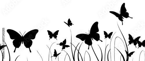 Silhouettes of flying butterflies and grass, vector illustration in black on transparent or white background