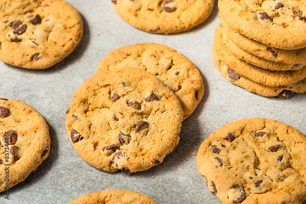 Warm Gooey Chocolate Chip Cookies Warm Gooey Chocolate Chip Cookies