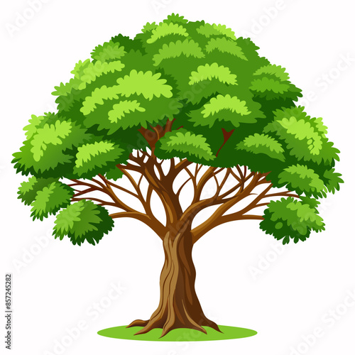 A beautiful illustration of a vibrant green tree in full foliage, representing nature and ecology