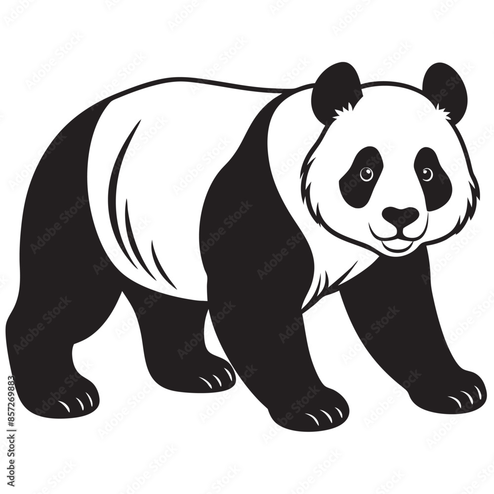panda bear illustration panda bear illustration