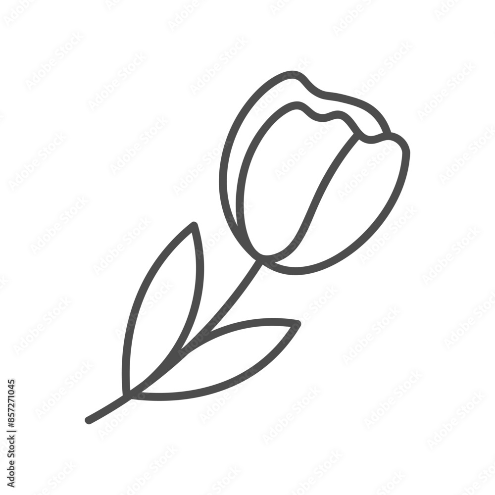 hand drawn illustration of flowers and leaves hand drawn illustration of flowers and leaves