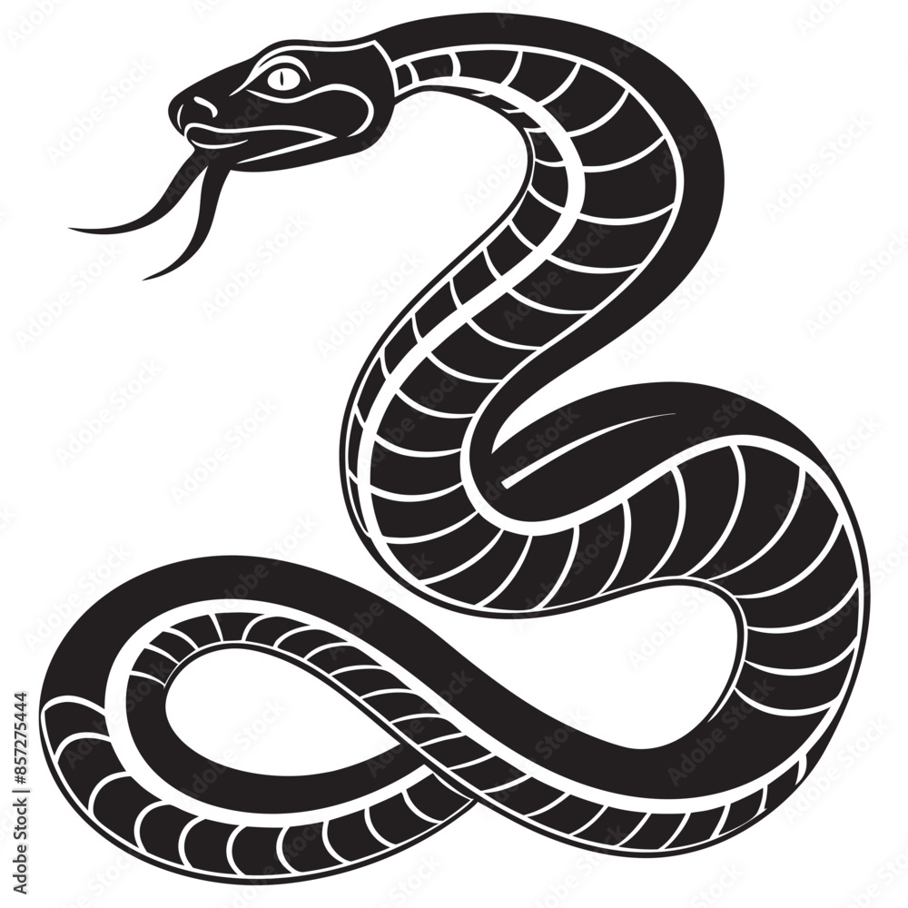 Fototapeta premium black and white snake