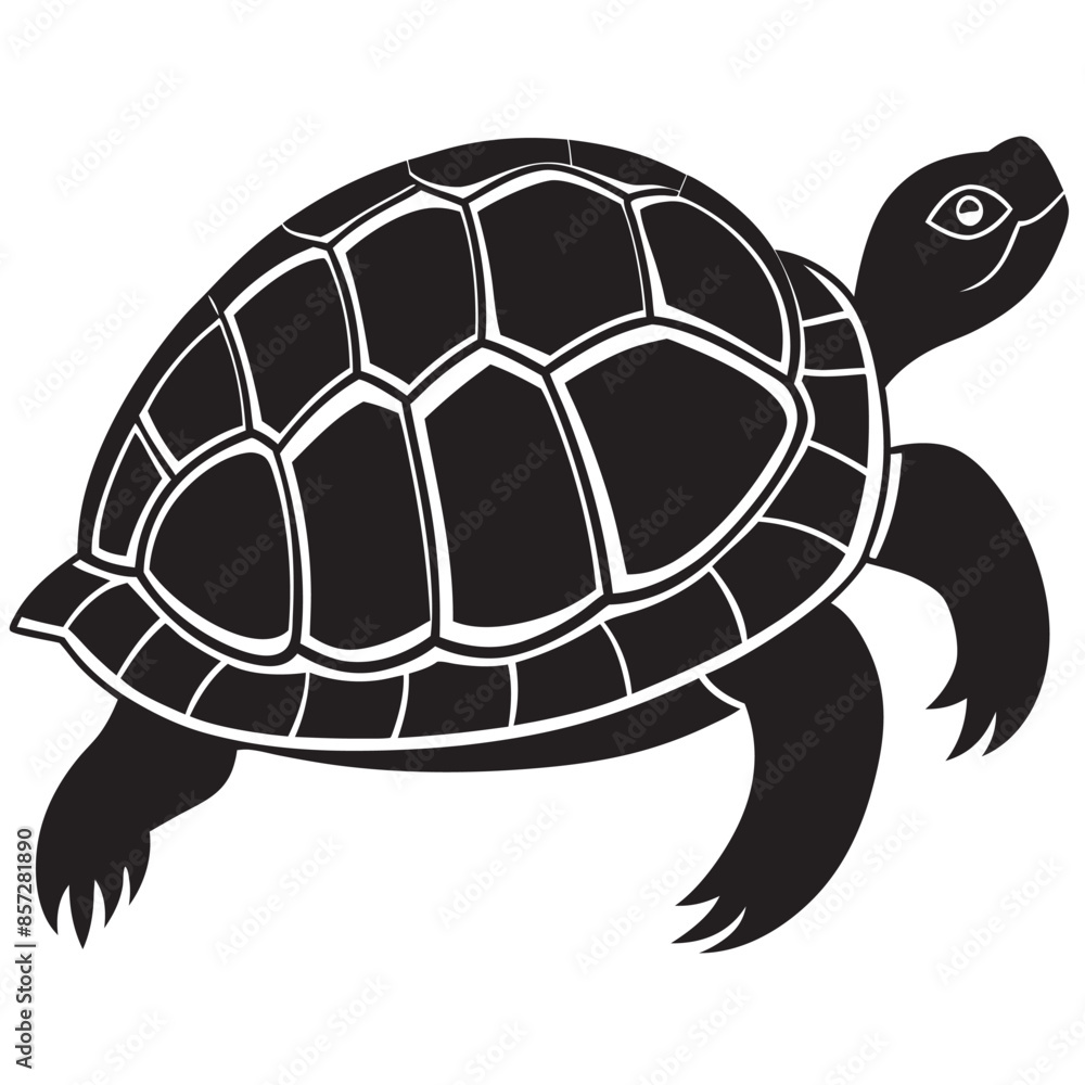 illustration of cartoon turtle illustration of cartoon turtle