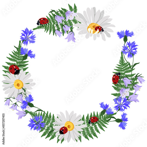 Decorative vector wreath of wild flowers, chamomile, cornflowers, campanula and ladybug