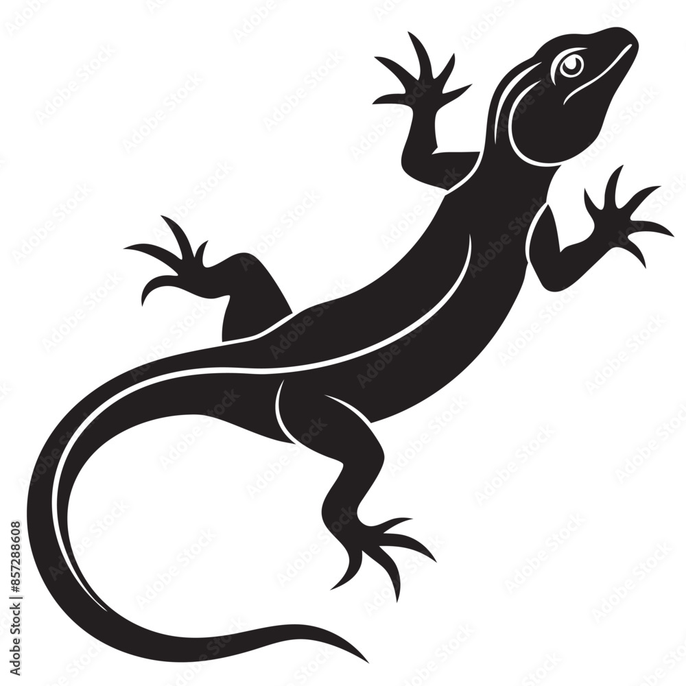 illustration of a lizard illustration of a lizard