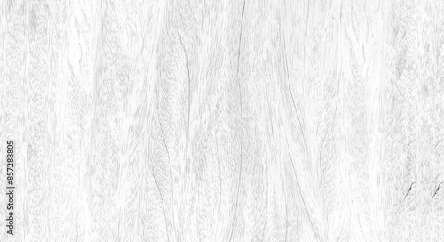 White wood texture with beautiful natural patterns in retro concept.
