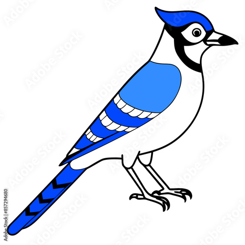 Bird vector