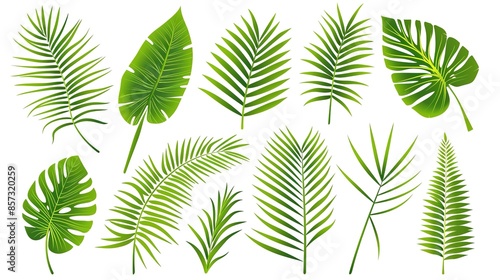 Assorted tropical leaves - exotic botanical collection