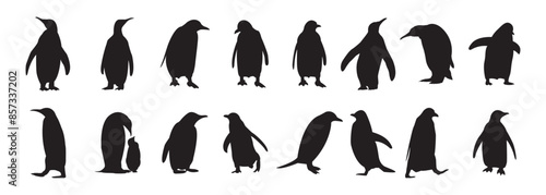 Black silhouettes of penguins set on a white background, silhouette penguin different pose walking and skating,