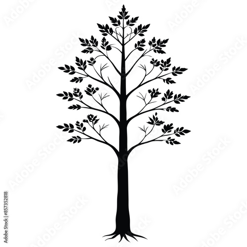 Elegant vector silhouette of a tall tree with detailed branches and leaves, symbolizing growth and nature's beauty