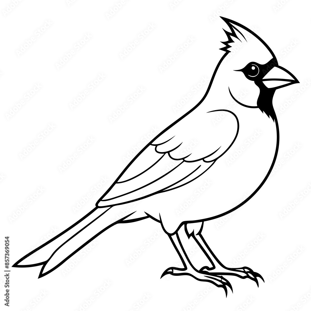 Fototapeta premium Cardinal line art vector illustration