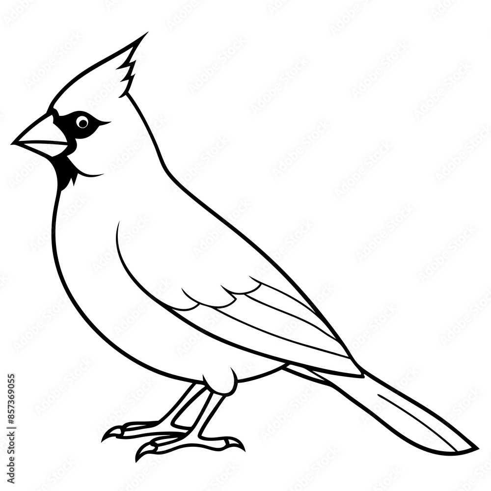 Obraz premium Cardinal line art vector illustration