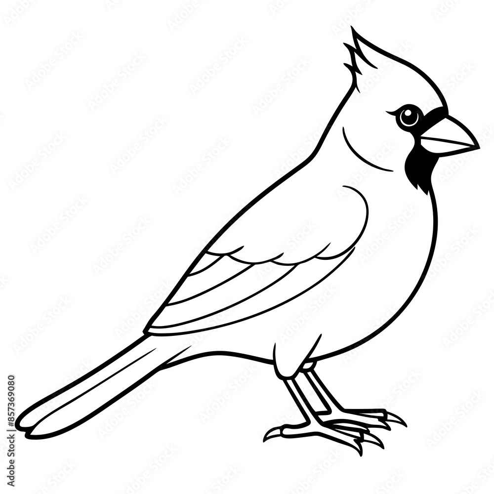 Fototapeta premium Cardinal line art vector illustration